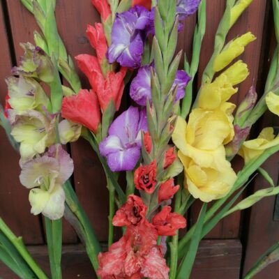 Wie die Saison der Blumen unseren Haushalt bereichert: Tipps für jede Jahreszeit