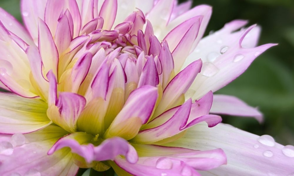 PXL_20240927_144920993.PORTRAIT