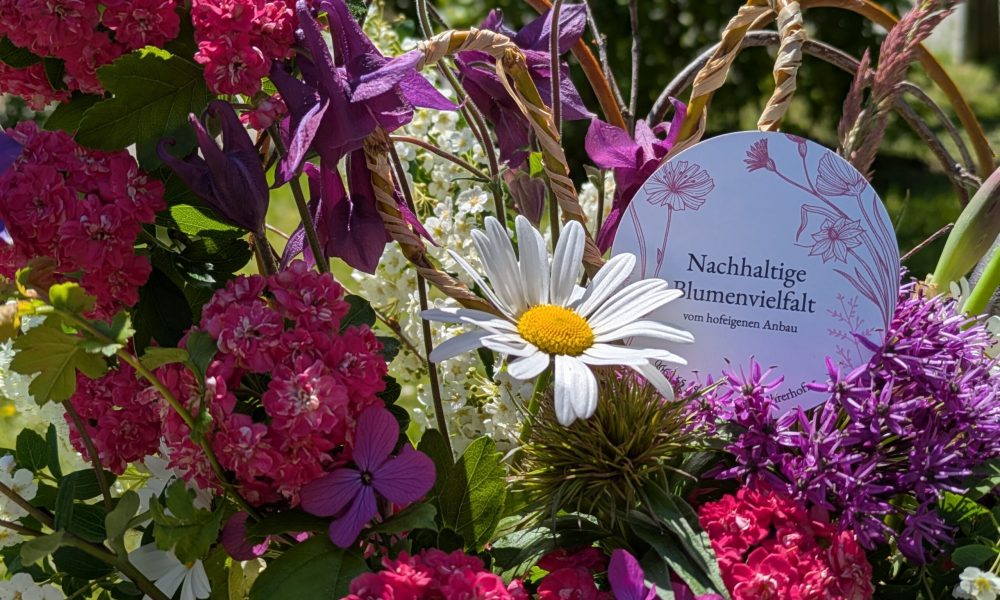 PXL_20250510_095345737.PORTRAIT