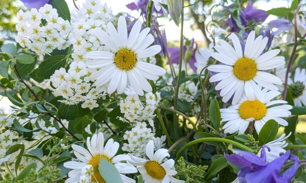 PXL_20250511_144335747