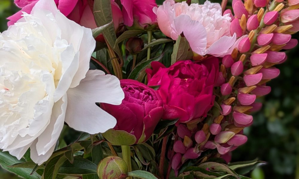 PXL_20250602_102744954.PORTRAIT